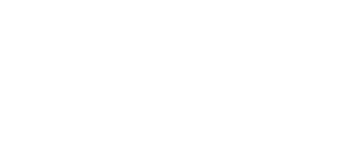 Light Logo